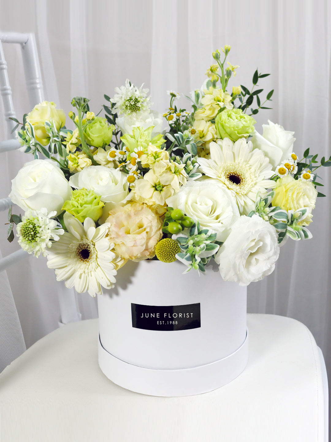 Flower Box 031