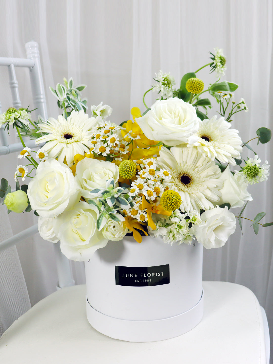 Flower Box 029