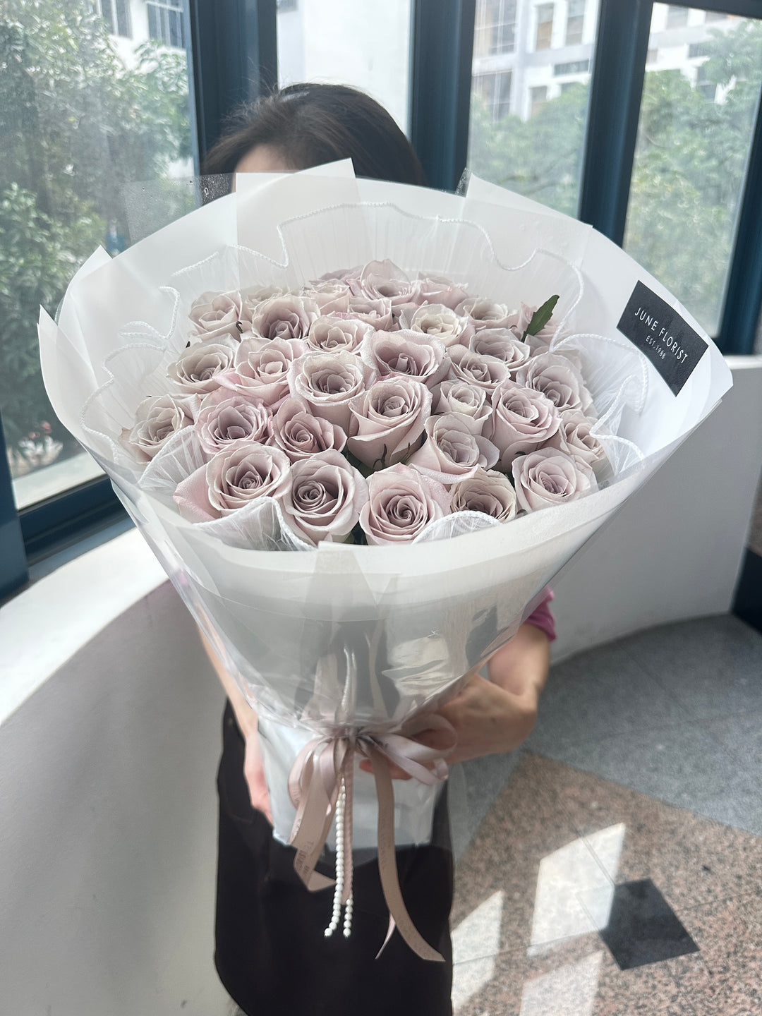 33 Manta Roses