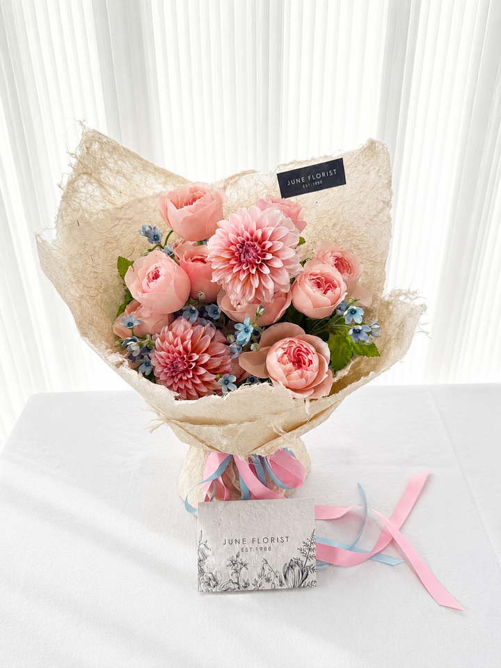 Katherine Garden Rose