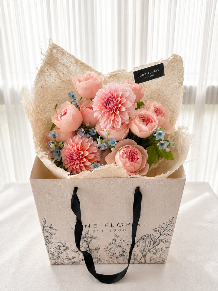 Katherine Garden Rose