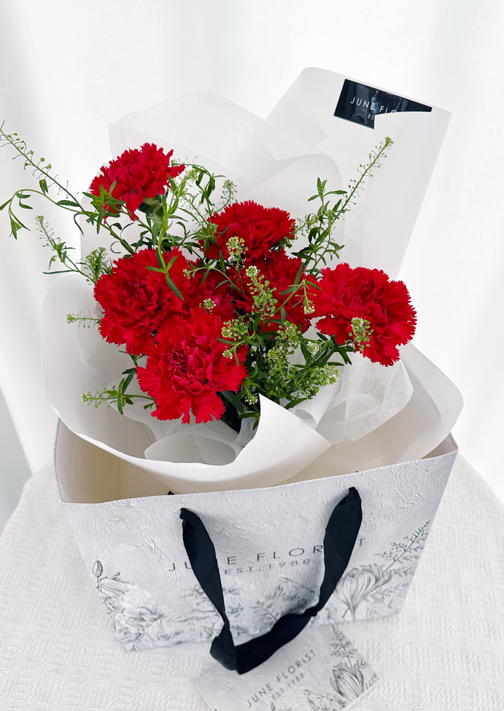 CARNATION BOUQUET 061